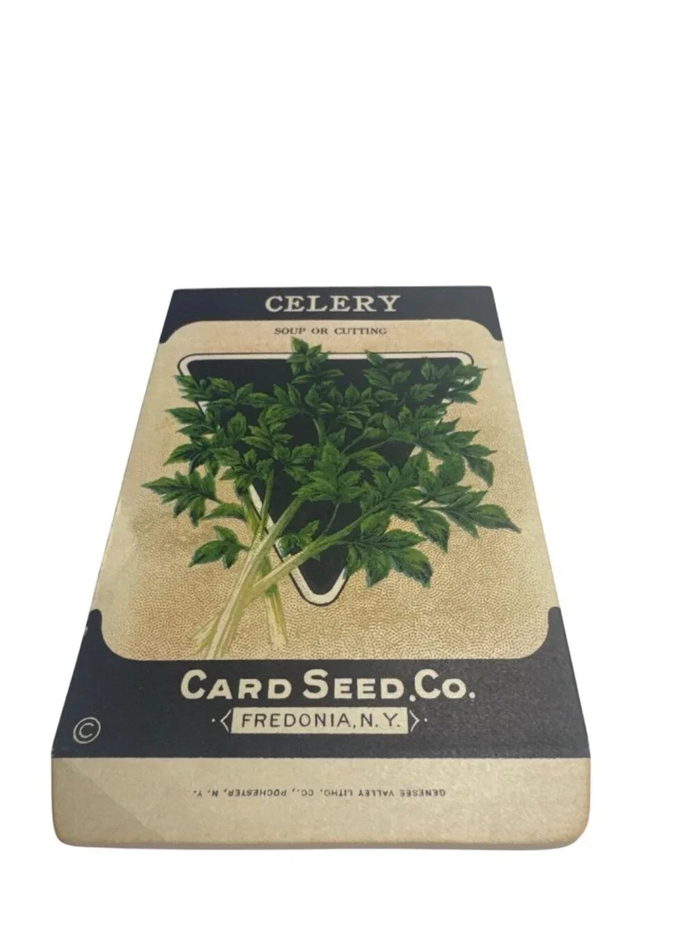 Vintage Card Seed Co Celery & Cabbage Seed Packets Fredonia NY Garden Decor